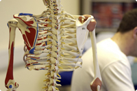 \"交通事故治療について\" \"交通事故治療について\"